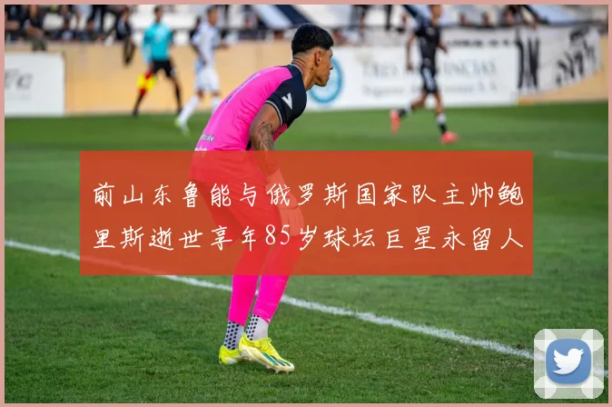 前山东鲁能与俄罗斯国家队主帅鲍里斯逝世享年85岁球坛巨星永留人间