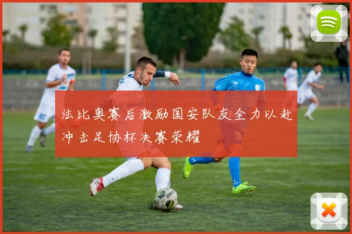 法比奥赛后激励国安队友全力以赴冲击足协杯决赛荣耀